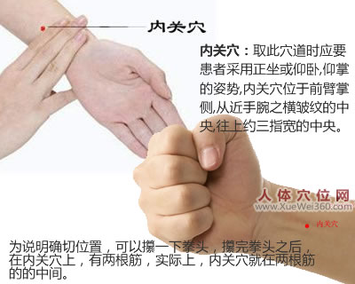 内关穴的准确位置图