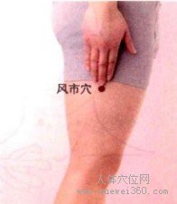 风市穴：胆经(图文)