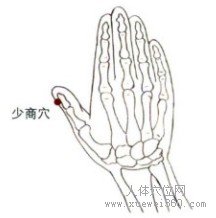 精确定位少商穴