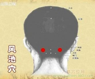 风池穴的准确位置图