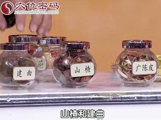 四君子汤 陈皮 山楂 建曲