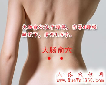 大肠俞穴的准确位置图
